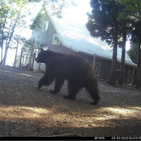 Meet your Posher, Amy - Picture 9 of 12